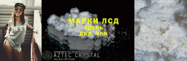 прущие грибы Абаза
